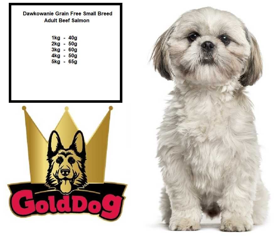 Karma bezzbożowa dla Shih tzu GOLDDOG 5kg wołowina bez drobiu