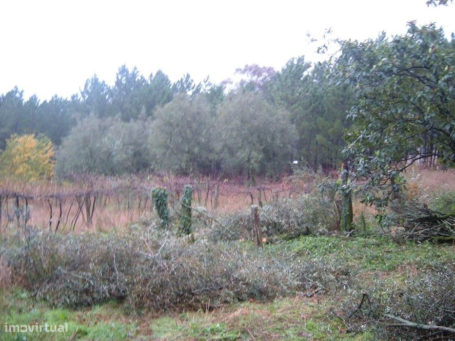 Terreno de construção em Rebordões de Souto - Ponte de Lima.
