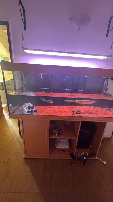 Aquario 1.50x50x60 sem riscos