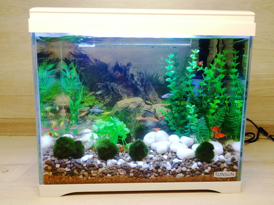 ЧУДОВИЙ ПОДАРУНОК | АКВАРІУМ з рибками SunSun 18л "Під ключ"