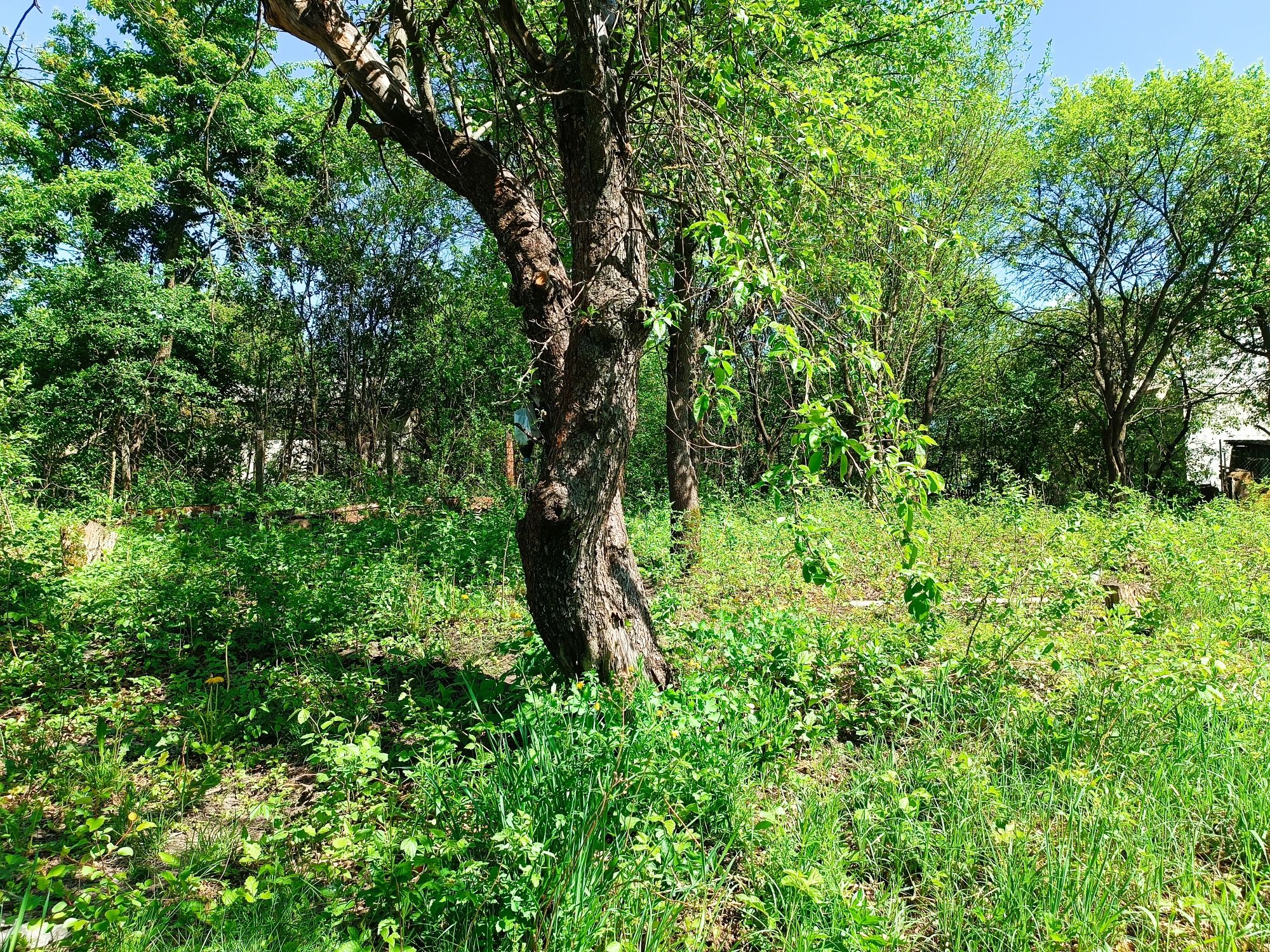 Продам земельну ділянку