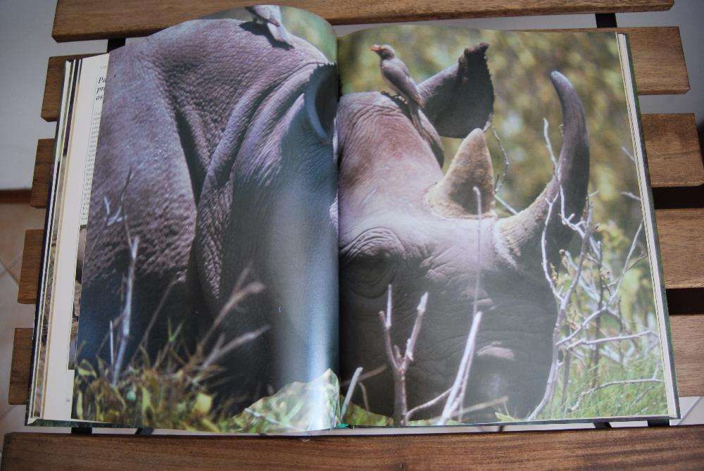 Vida Selvagem - Animais da Savana - Selecções do Reader's Digest