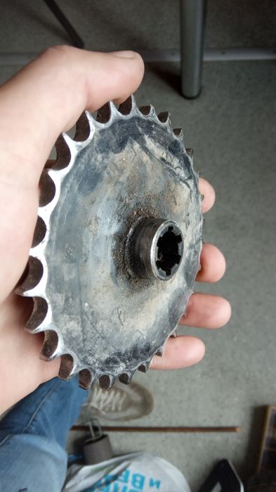 муравей инвалидка  кпп