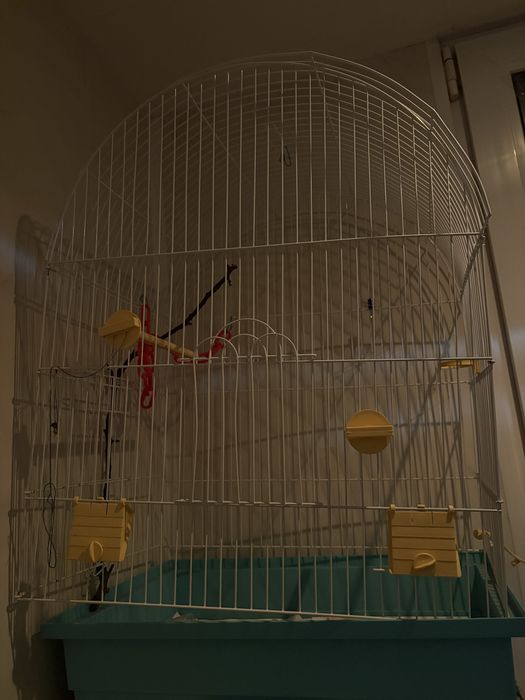 Клітка для папуги