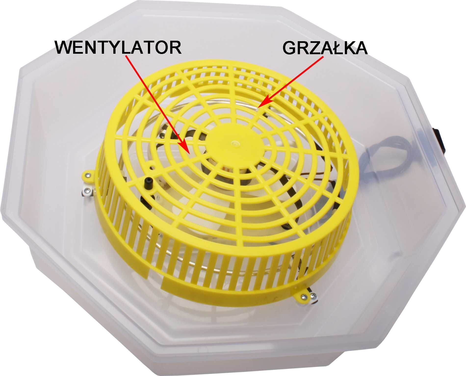 Nowy Inkubator wylęgarka klujnik Cleo 5T Termometr