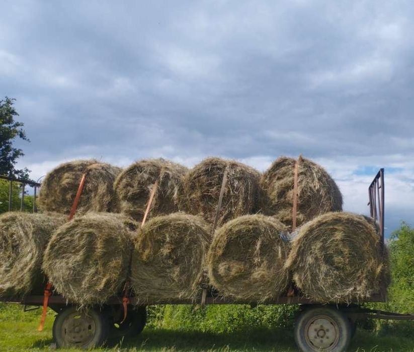 Siano pierwszy pokos bele 130x130