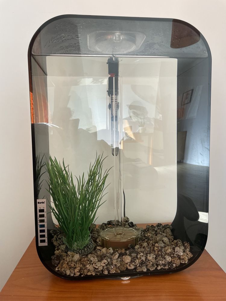 Aquario Biorb 60 lt