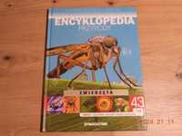 Encyklopedia Przyrody - Tom 43 -Zwierzęta - Owady