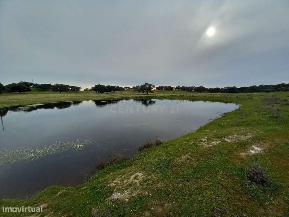 Herdade com 17,2ha na localidade de  Zebreira