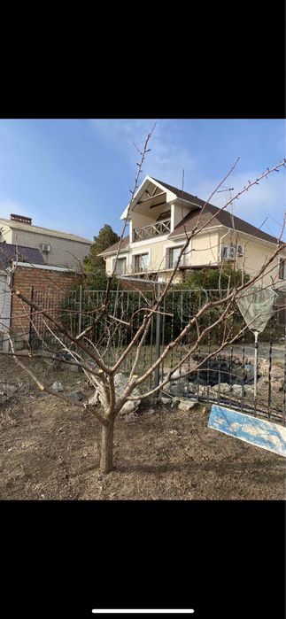 САДОВНИК-Уборка сада,стрижка, оформление клумб,лечение туй