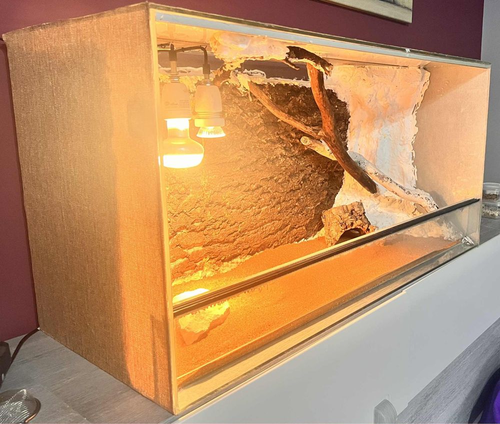 Terrarium 100x50x40