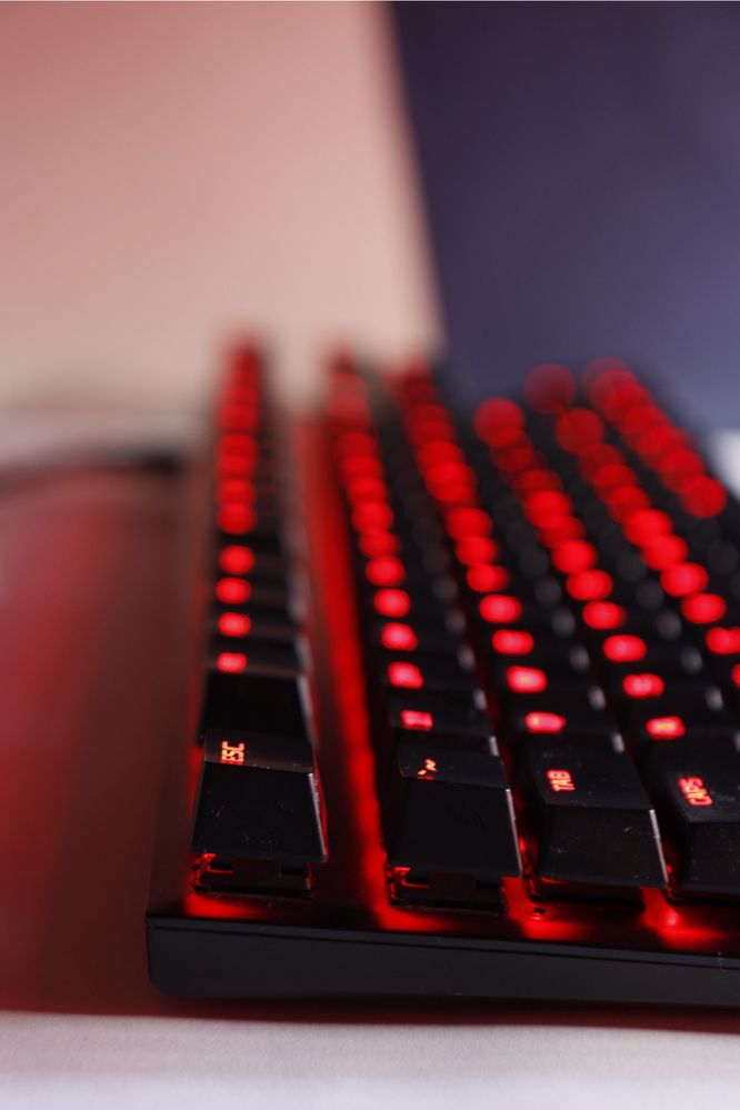 Teclado HyperX - EN