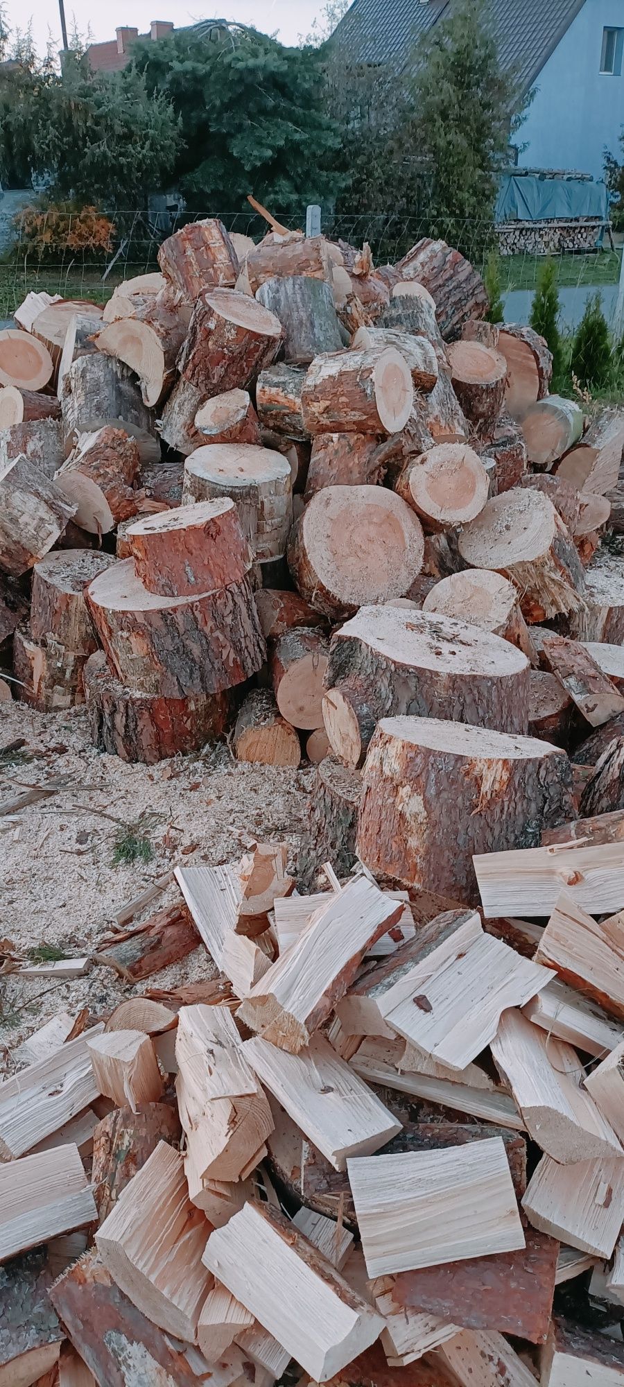 Sprzedam drewno opałowe różne od 190 zł do 300 zł za mp