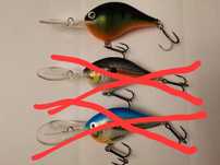 Woblery na suma, szczupaka, trolling, Rapala DT16