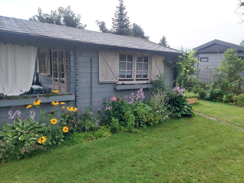 Działka ROD Zlote Piaski Siedlce