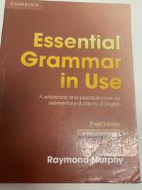 Vendo gramática da academia de linguas