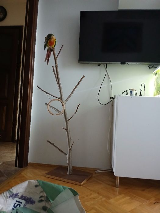 Stojak dla papug plus zabawka