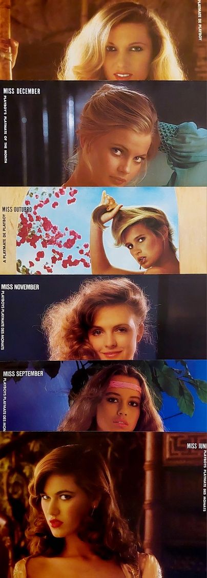 33 Posters Playboy