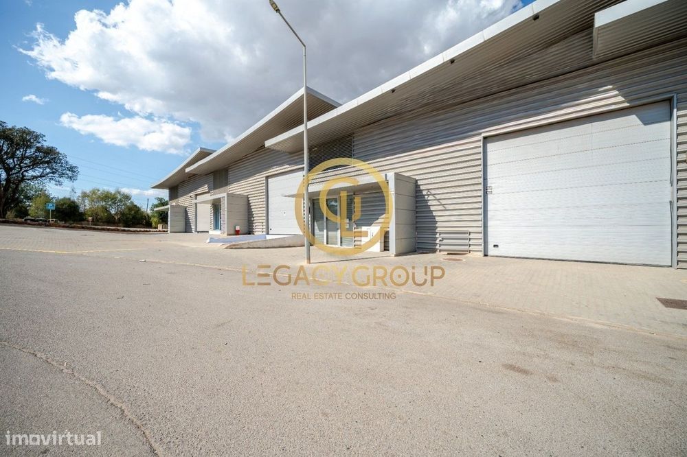 Armazém Moderno + Negócio de Bricolage em Tunes