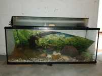 Vendo aquário 
Comprimento 1m
Altura 40cm
Largura 30cm