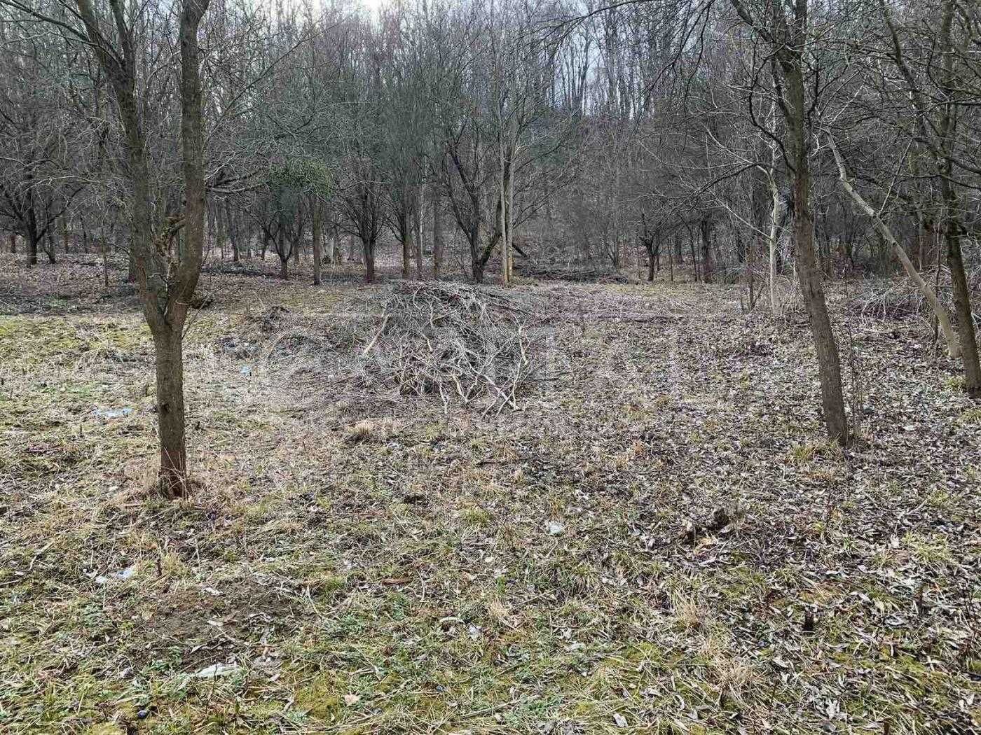 ТОРГ Ідеальне місце!!! с. Підгірці, 18 соток з виходом в ліс (асфальт)