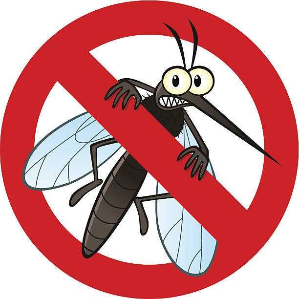 Odkomarzanie, Odkleszczanie, Zwalczanie insektów w twoim ogrodzie