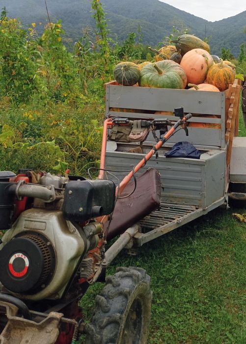 Мотоблок Зубр 135Е 9к.с