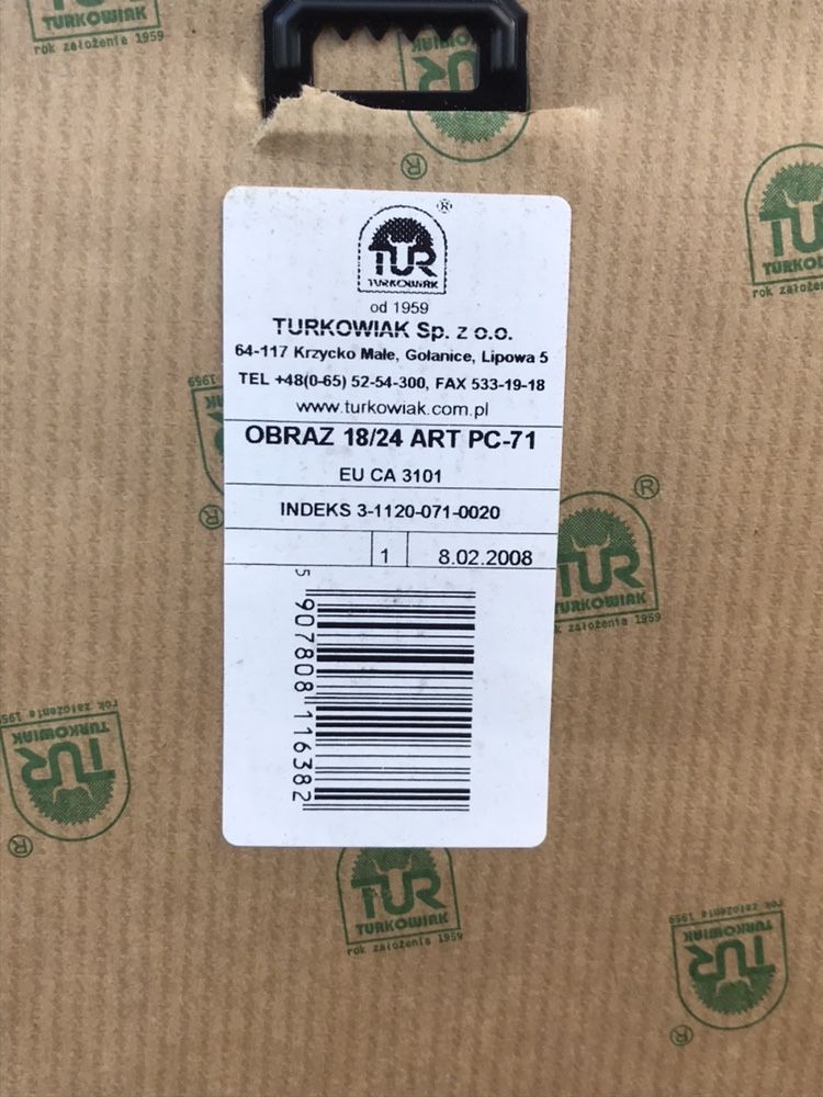 Obrazy na ścianę