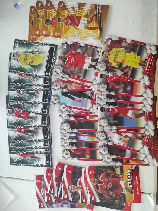 Coleção completa Benfica Fan set