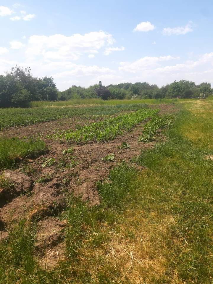 Продам приватизовану дачну ділянку під забудову