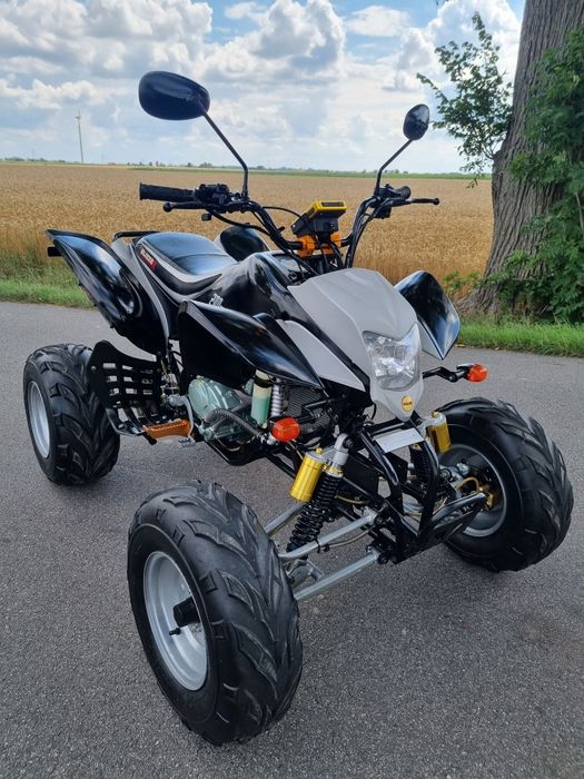 Quad Bashan Blizzer 200/250cc Ciecz JAK NOWY!  Zarejestrowany!