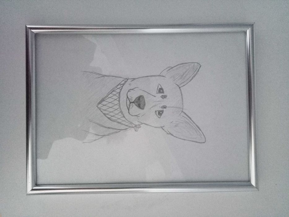 rysunek psa ołówkiem a5