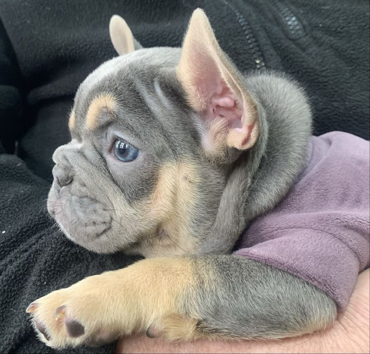 Крутезний хлопчик