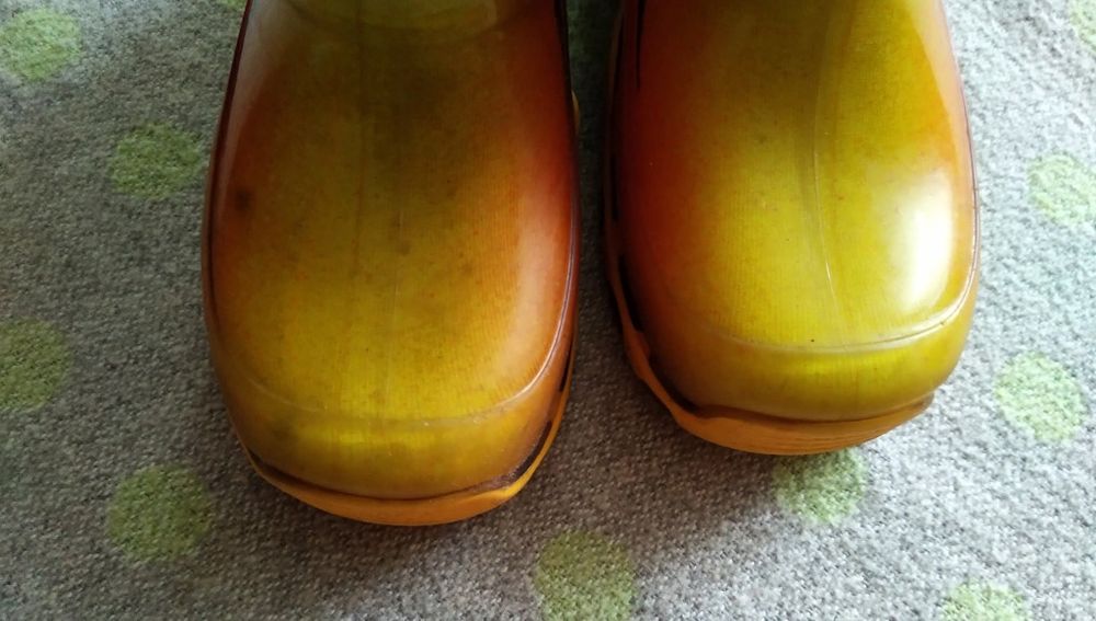 Гумові чобітки Demar 24-25р