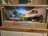 Terrarium 100 drewniane