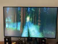 Monitor Acer ProDesigner 32” 4K HDR IPS— Idealny stan, 10bit, sRGB