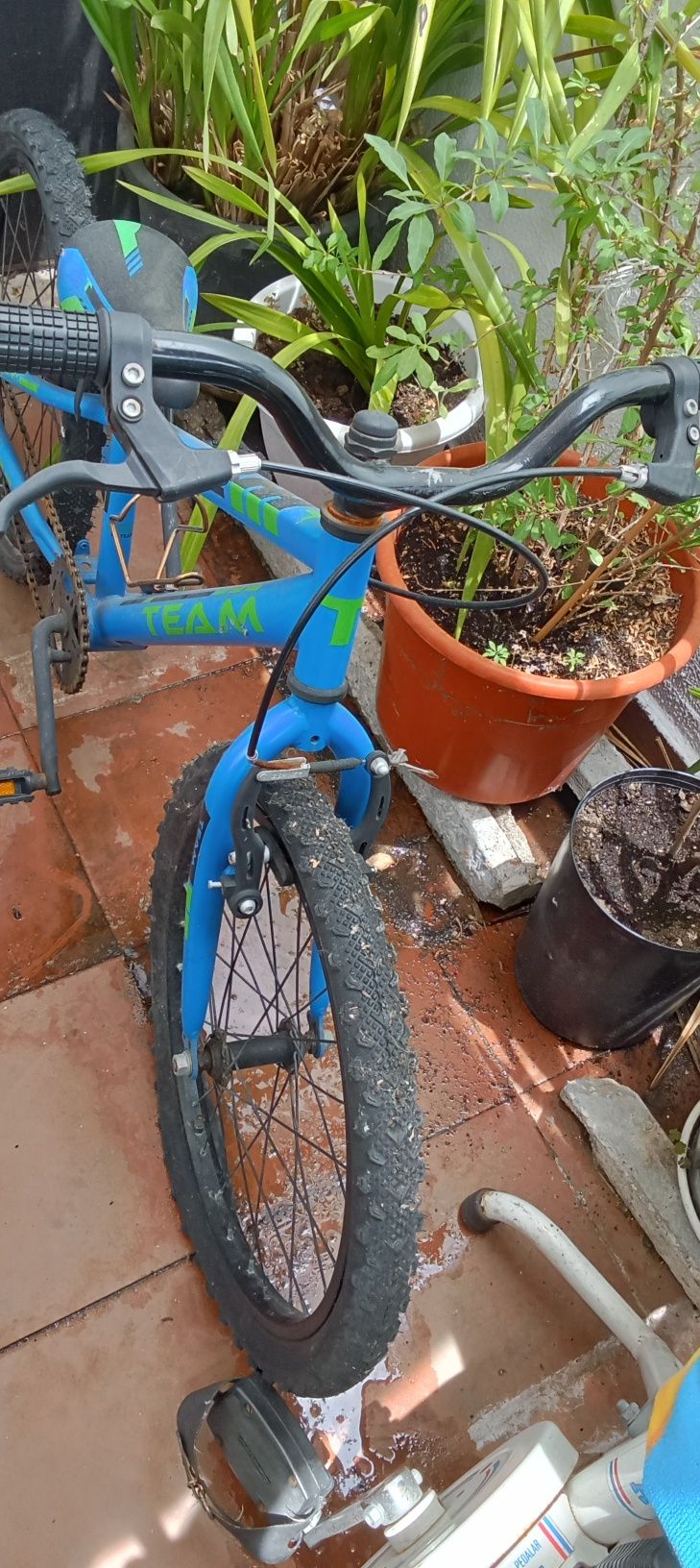 Bicicleta criança roda 20