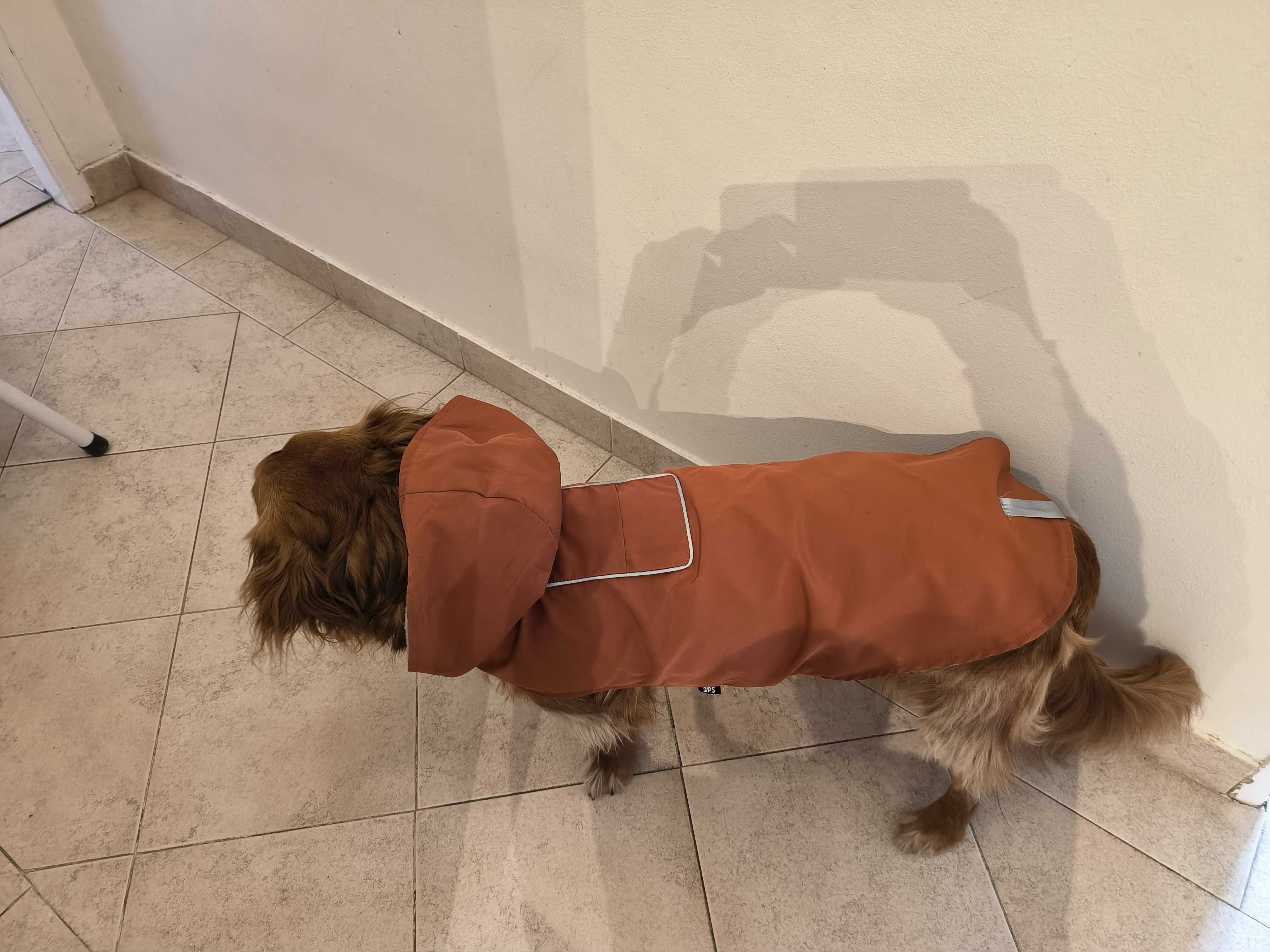 Capa de chuva cão