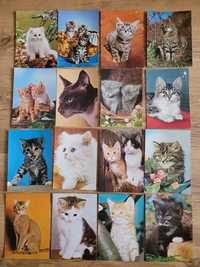 Zestaw pocztówek  - koty, razem 29 sztuk