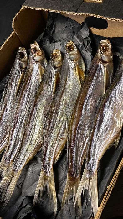 ВЕРХОВОДКА З ІКРОЮ плотва синець окунь