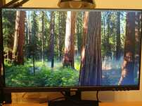 Obrotowy Monitor iiyama ProLite 24