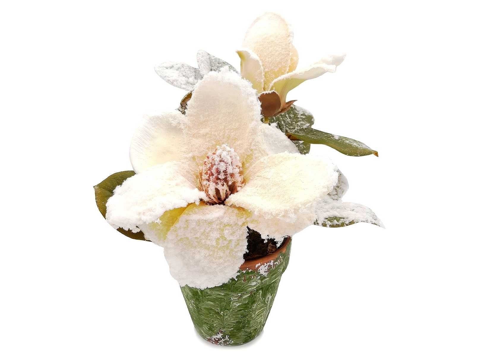 Magnolia w doniczce ośnieżona sztuczna kompozycja 30cm KOLORY