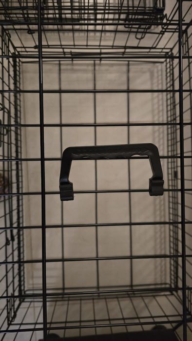 Pet crate / caixa de transporte para cães