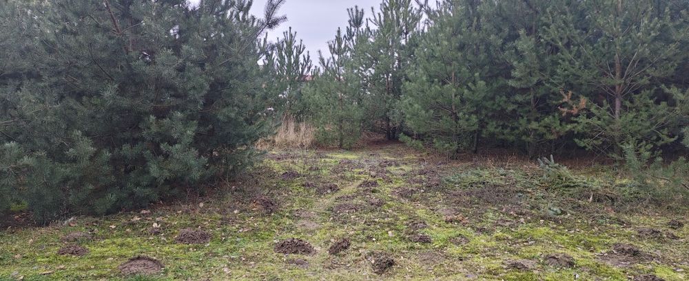 Działka 1200mk.warunki zabudowy