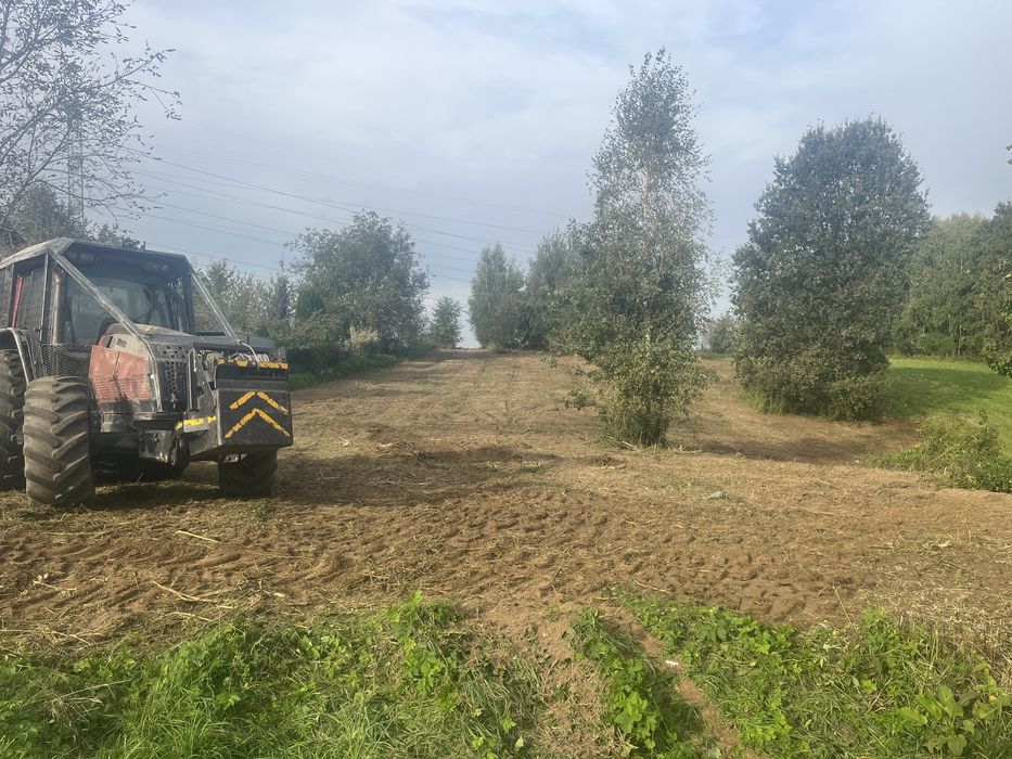 Mulczowanie usuwanie zakrzaczen samosiejek wycinka drzew czyszczenie