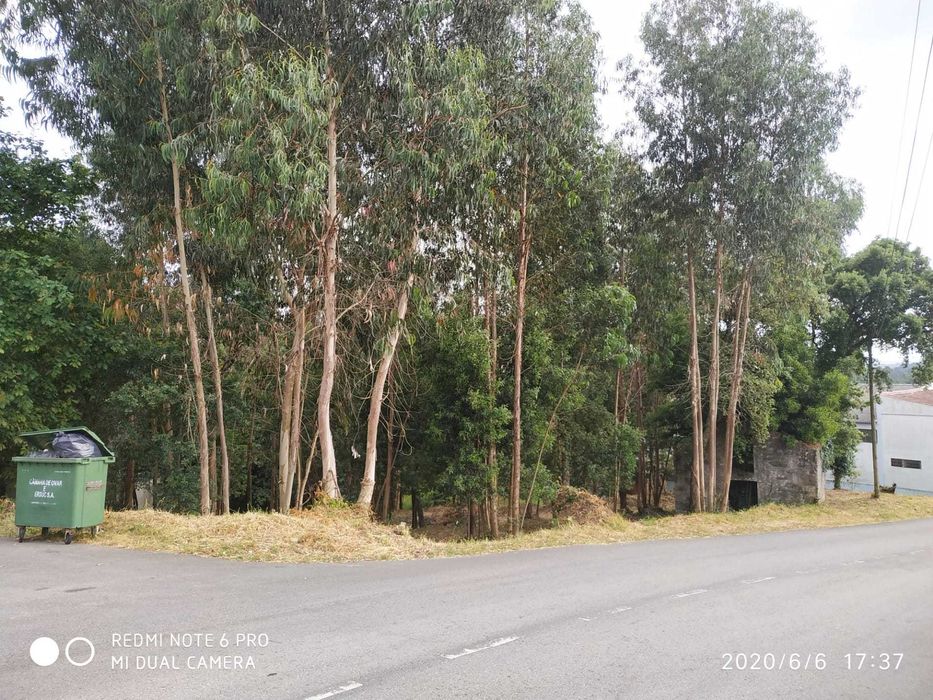 Terreno Rústico Ovar