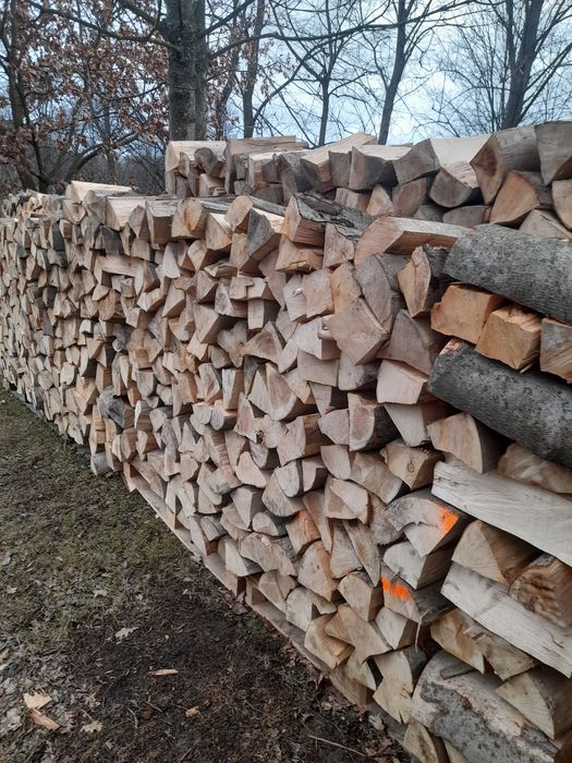 Drewno bukowe opałowe