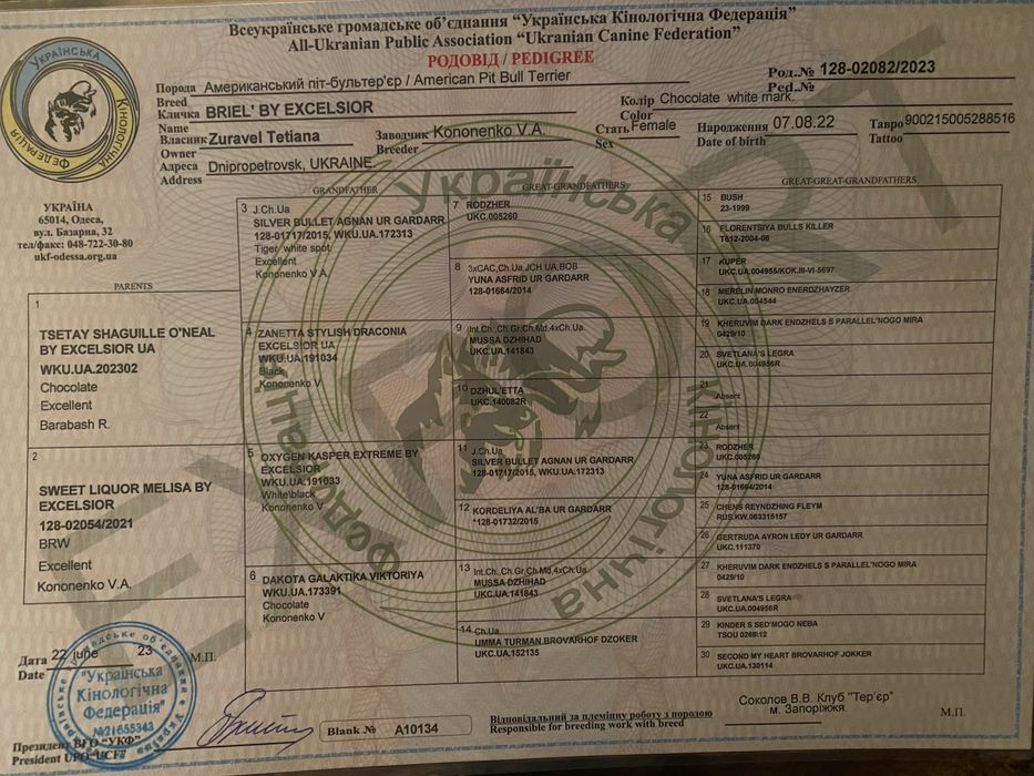 Американський Пітбультерьєр