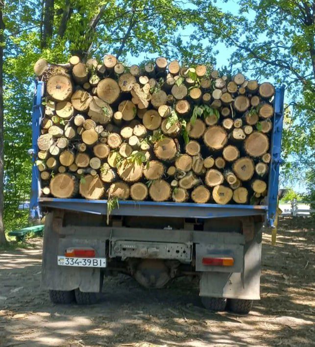 Дрова. Безкоштовна доставка. Мінімальні ціни. Дуб, граб. 10-15 ск.м