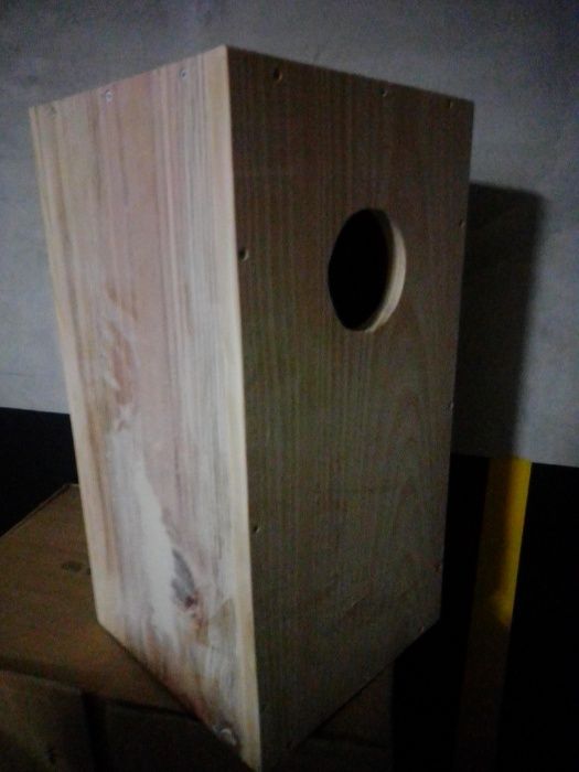 Ninho madeira Ring Necks - Papagaio cinzento